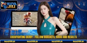 Cockfighting Derby - Follow Brackets, Birds And Results